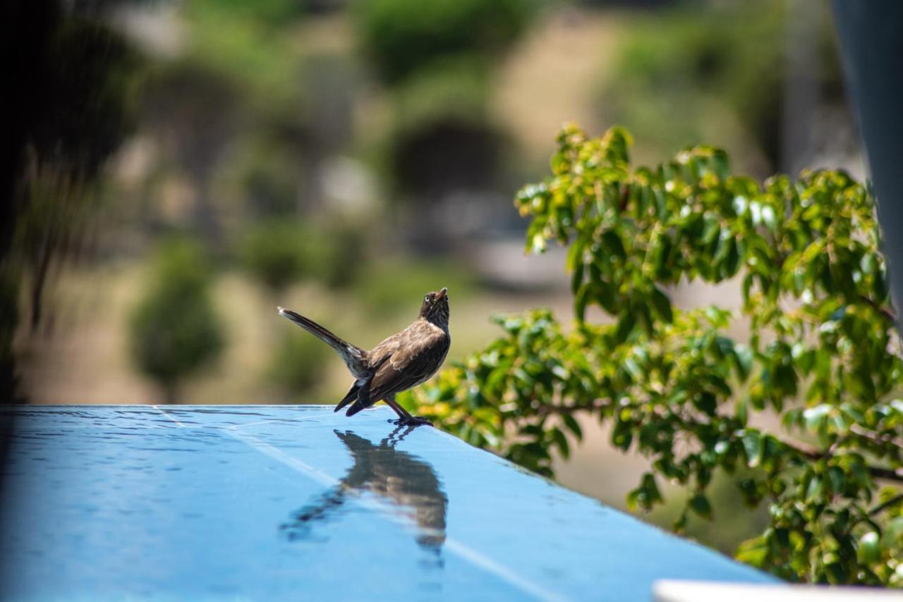 Domaine De Sweet Hill - 4 Villas Et 2 Studios Salines Εξωτερικό φωτογραφία
